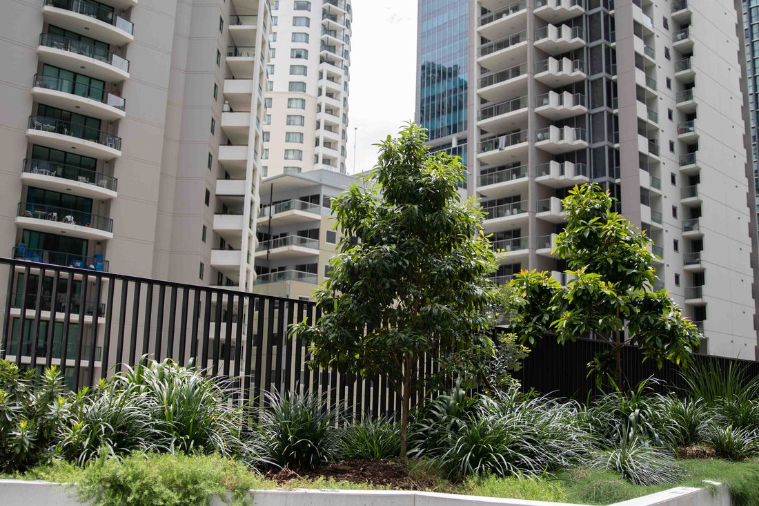 Midtown Centre — premium planter wall with urban tower backdrop